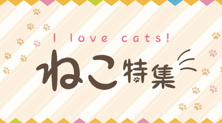 I Love Cats!ねこ特集
