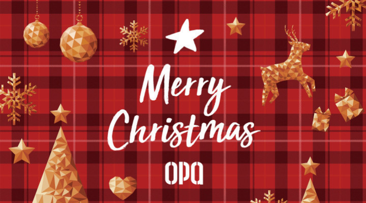 Merry Christmas !