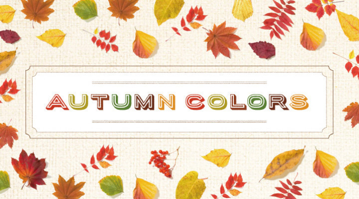 AUTUMN COLORS