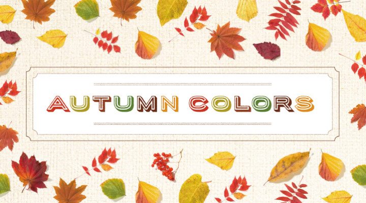 2018 AUTUMN COLORS